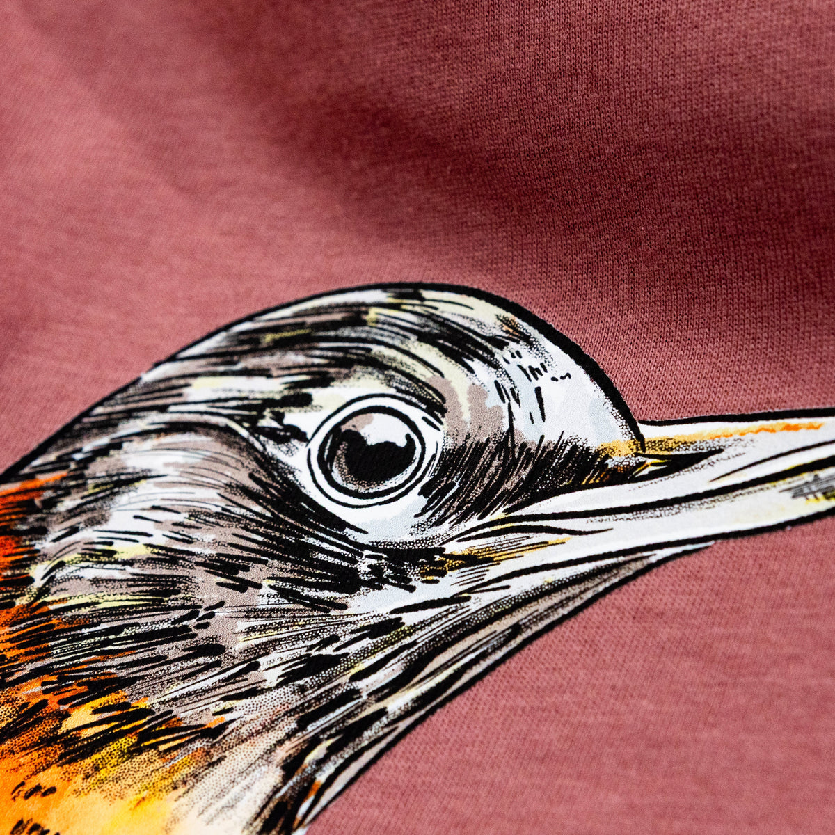 Vibrant American Robin - Turdus migratorius - Lightweight 100% Cotton Unisex Crewneck