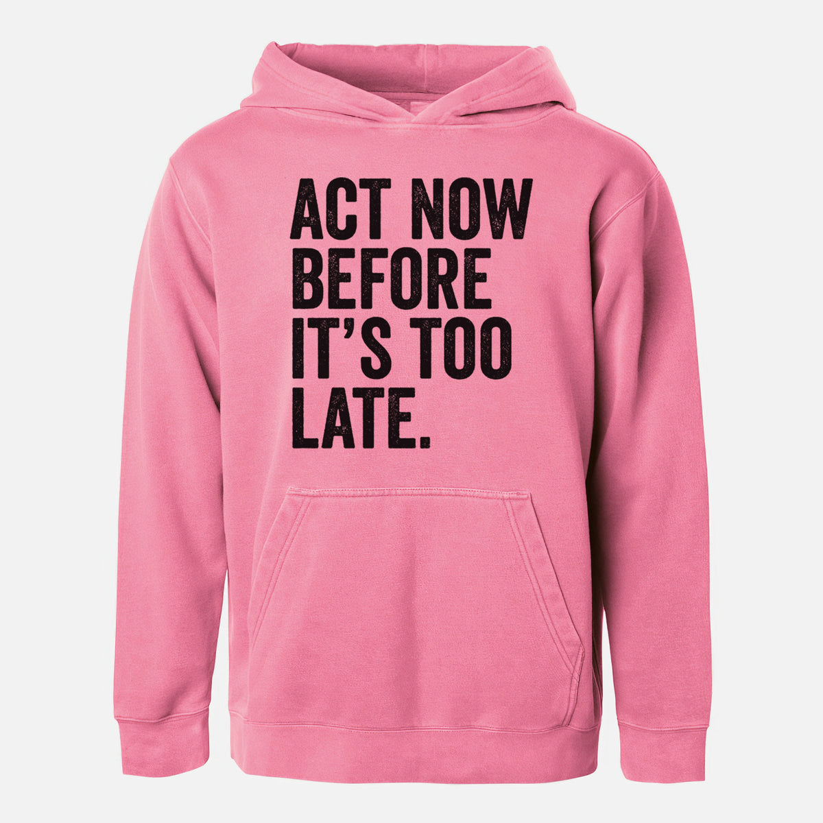 Act Now Before it's Too Late - Youth Pigment Dyed Hoodie
