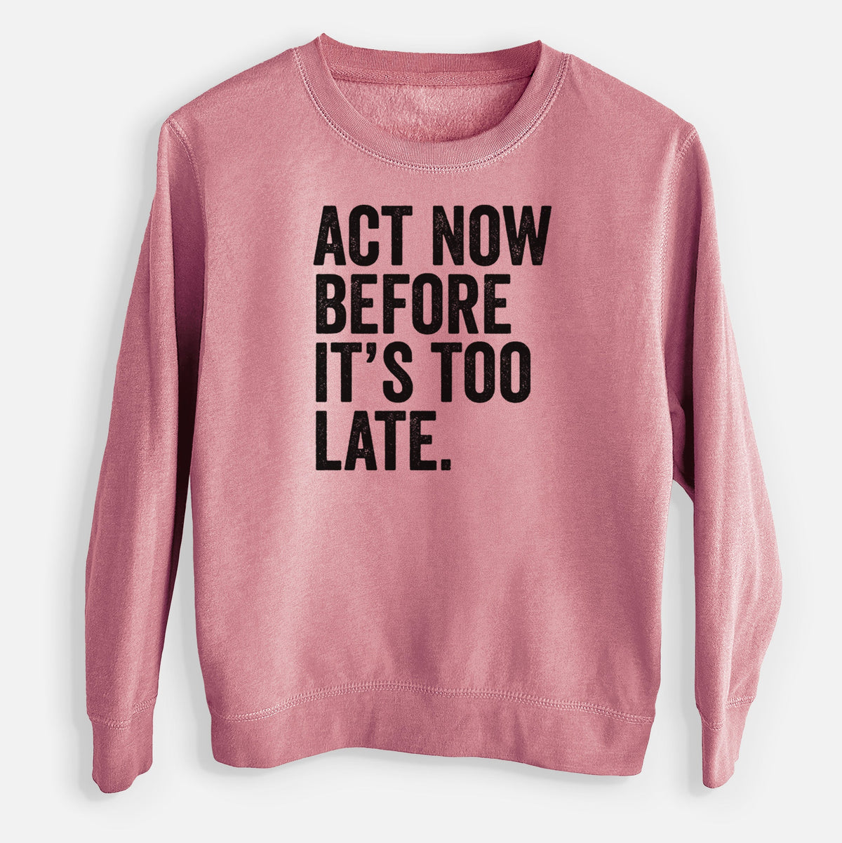 Act Now Before it's Too Late - Youth Lightweight Crewneck Sweatshirt