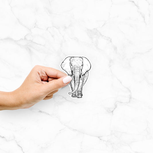 Loxodonta africana - African Elephant - Decal Sticker