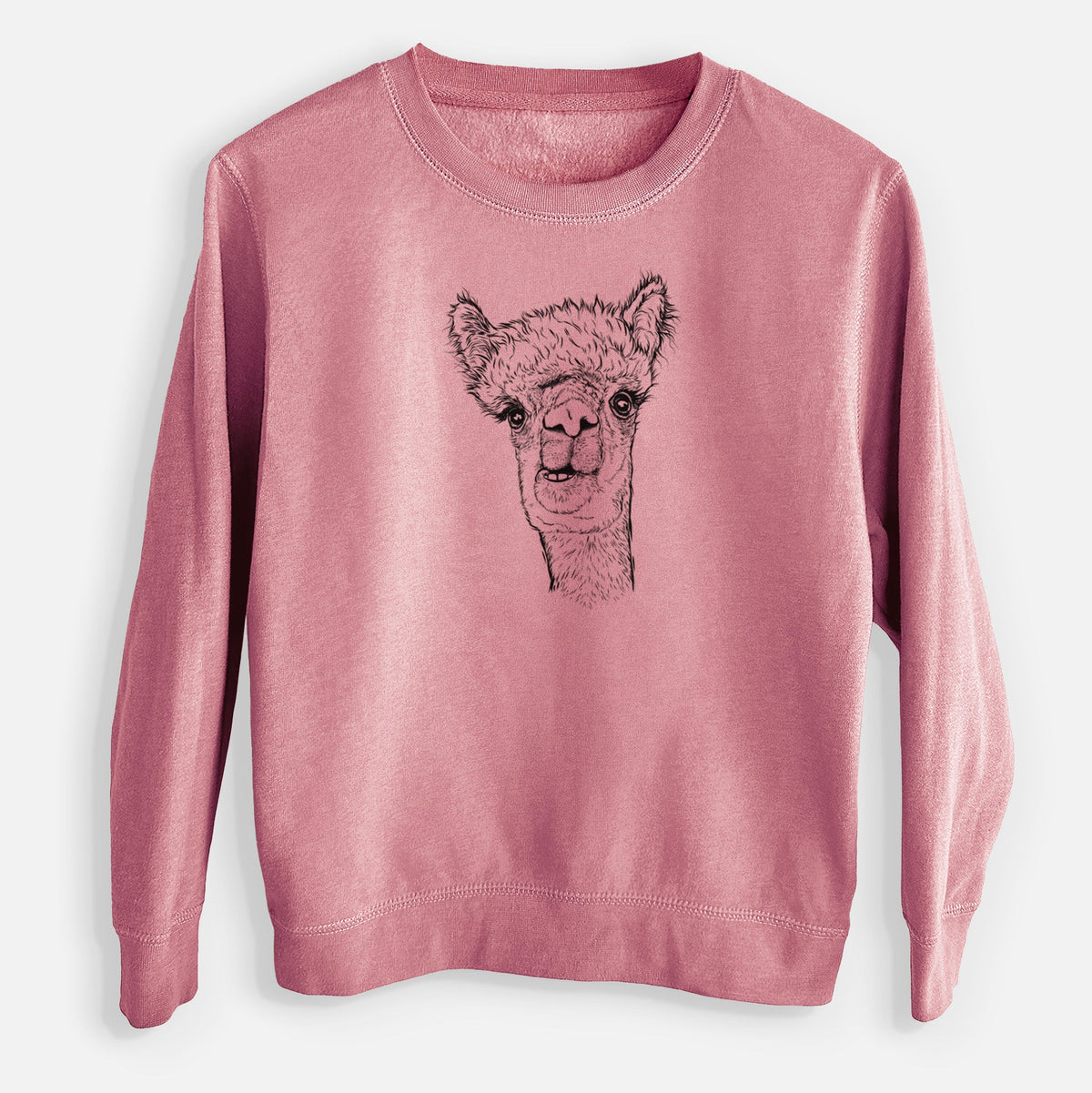 Alpaca - Youth Lightweight Crewneck Sweatshirt