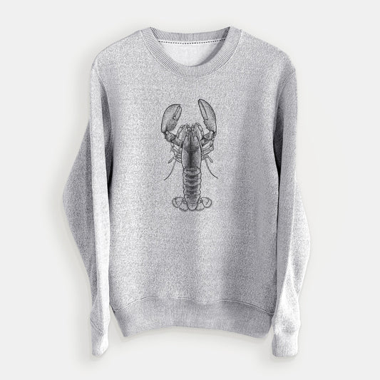 American Lobster - Homarus americanus - Knit Sweatshirt