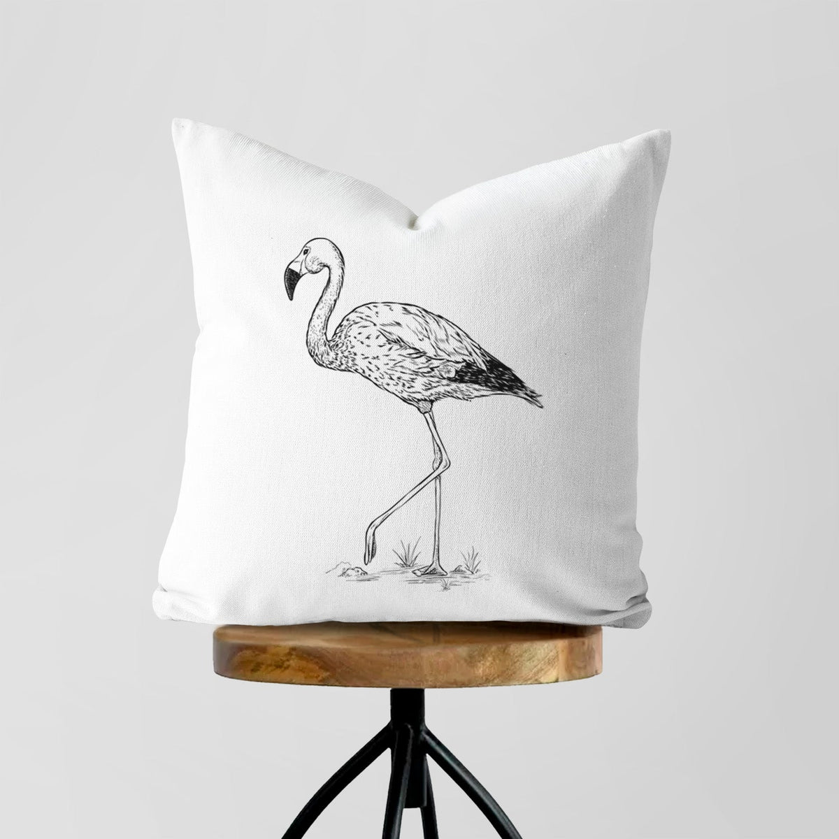 Andean Flamingo - Phoenicoparrus andinus - Throw Pillow Cover