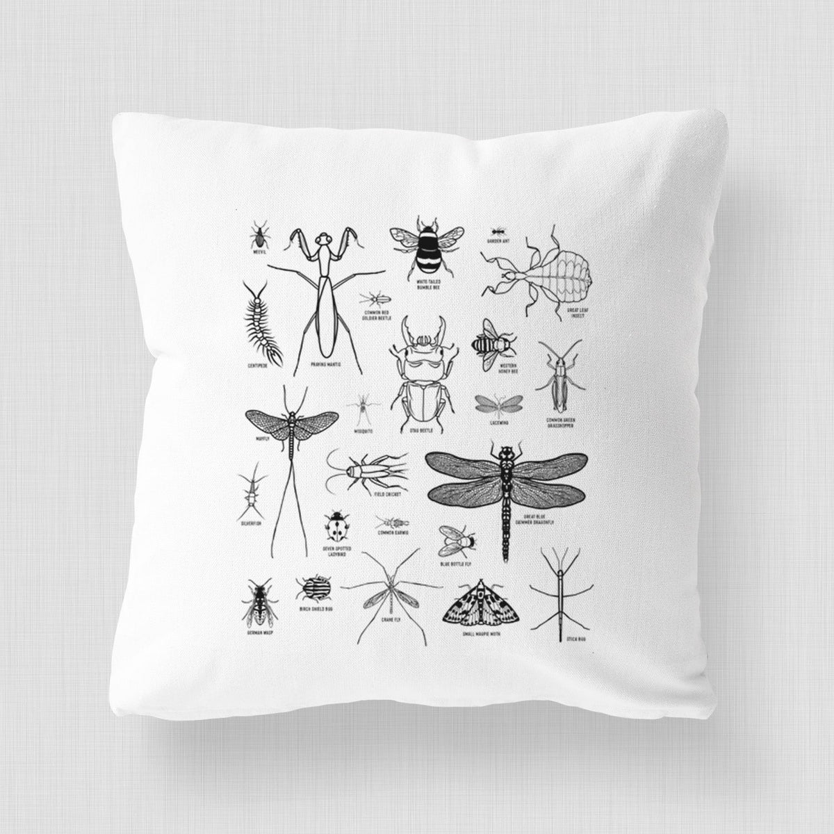 Chart of Arthropods/Insects - Throw Pillow Cover