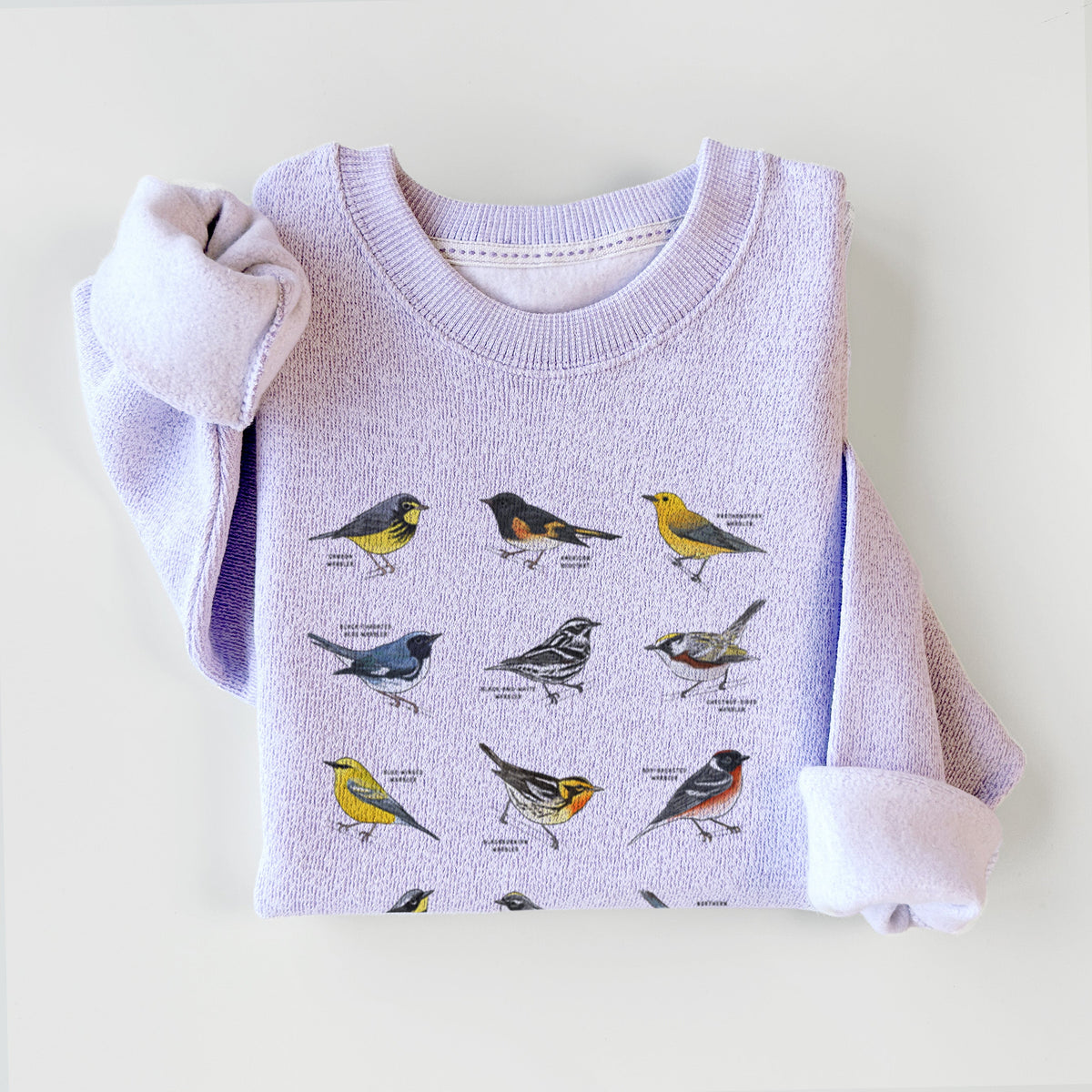 Warblers of the Atlantic Flyway - Knit Sweatshirt