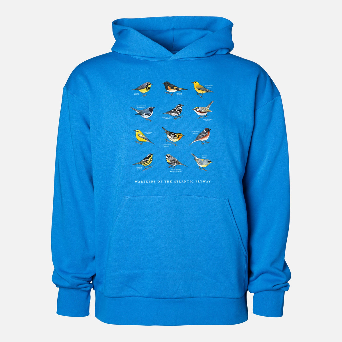 Warblers of the Atlantic Flyway  - Statement Midweight Hoodie