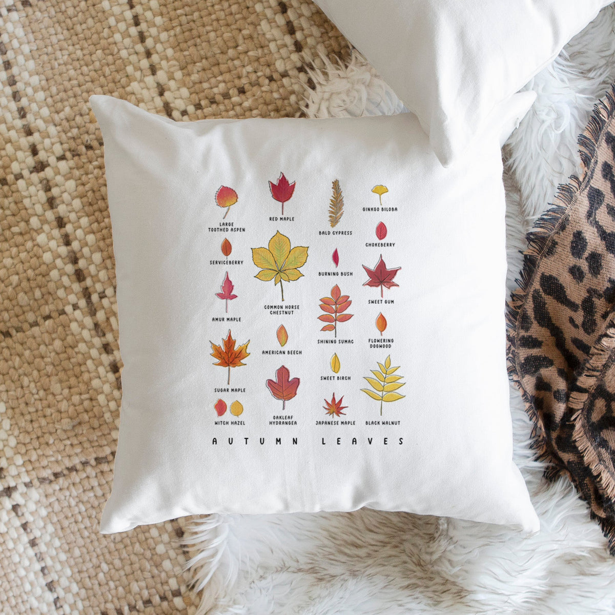 Vibrant Autumn Leaves Chart - Throw Pillow Cover
