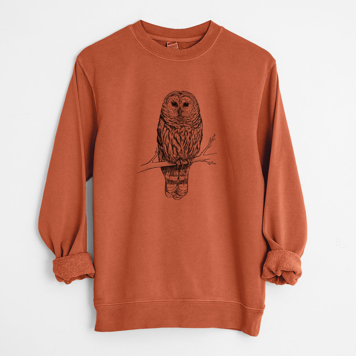 Barred Owl - Strix varia - Unisex Pigment Dyed Crew Sweatshirt