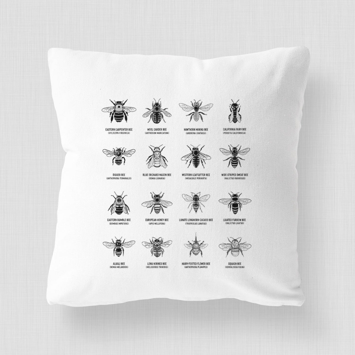 Bee Chart - Bees in North America - Throw Pillow Cover