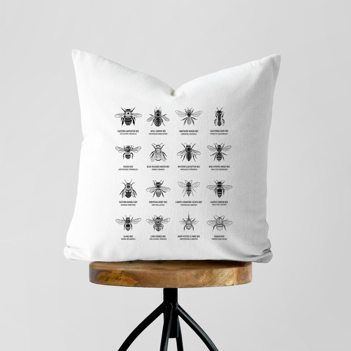 Bee Chart - Bees in North America - Throw Pillow Cover