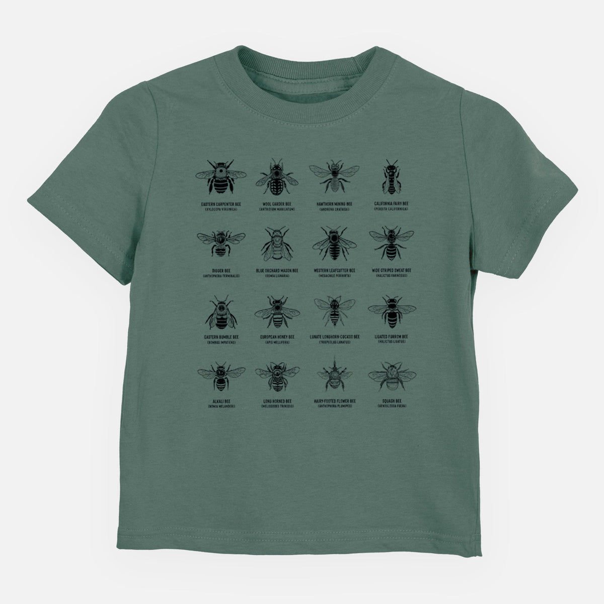 Bee Chart - Bees in North America - Toddler/Youth Shirt