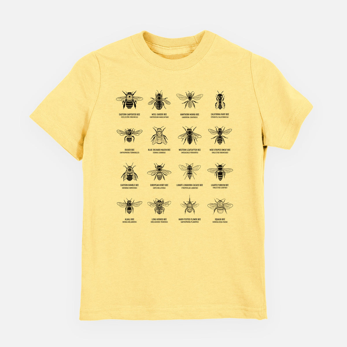 Bee Chart - Bees in North America - Toddler/Youth Shirt