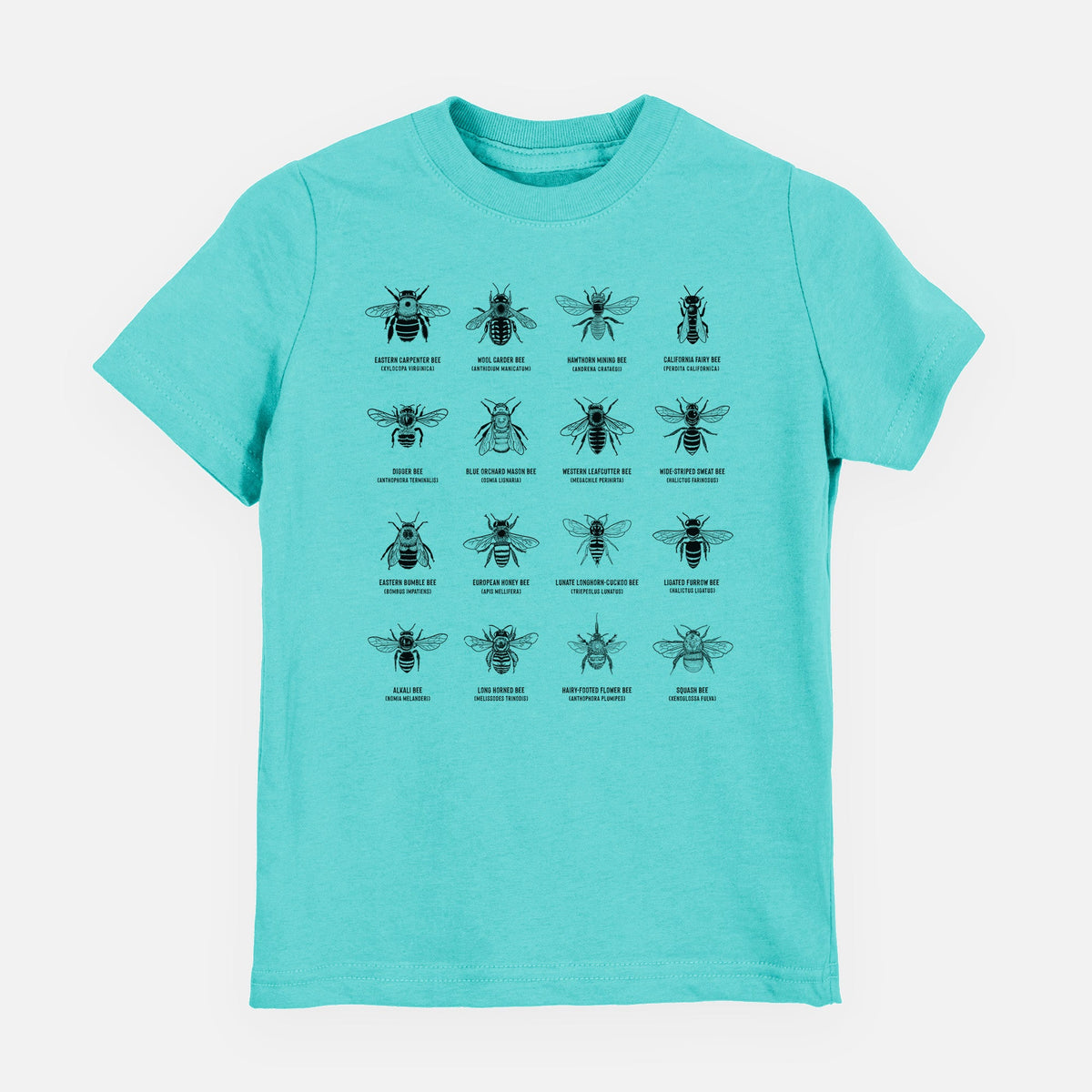 Bee Chart - Bees in North America - Toddler/Youth Shirt