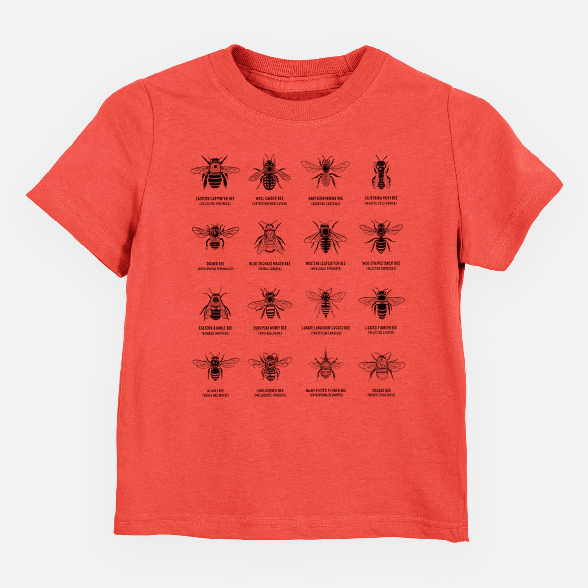 Bee Chart - Bees in North America - Toddler/Youth Shirt