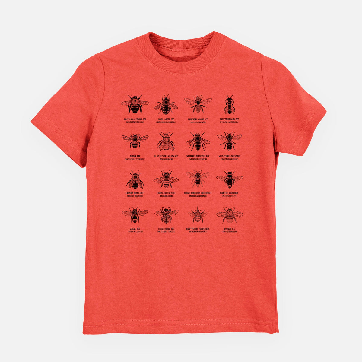 Bee Chart - Bees in North America - Toddler/Youth Shirt