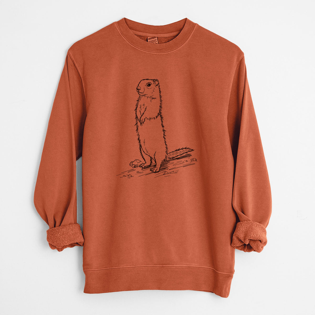 Belding's Ground Squirrel - Urocitellus beldingi - Unisex Pigment Dyed Crew Sweatshirt