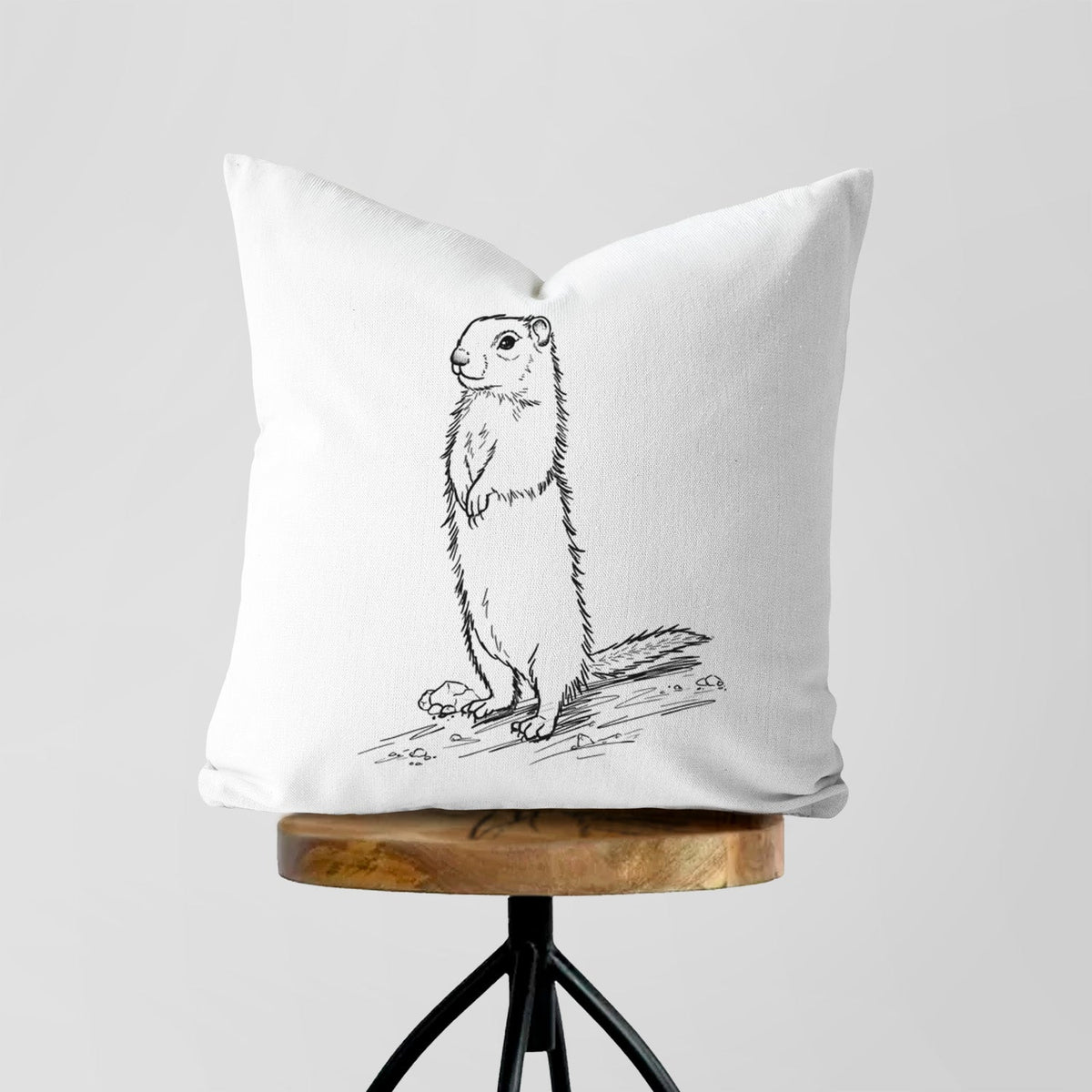 Belding's Ground Squirrel - Urocitellus beldingi - Throw Pillow Cover