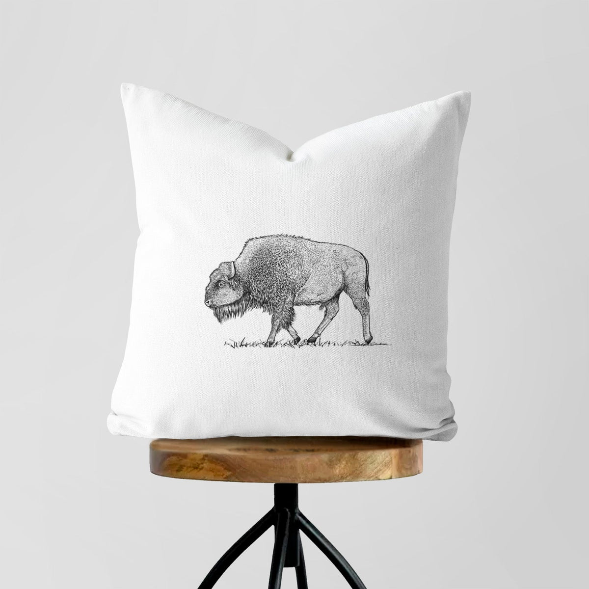 American Bison / Buffalo - Bison bison - Throw Pillow Cover