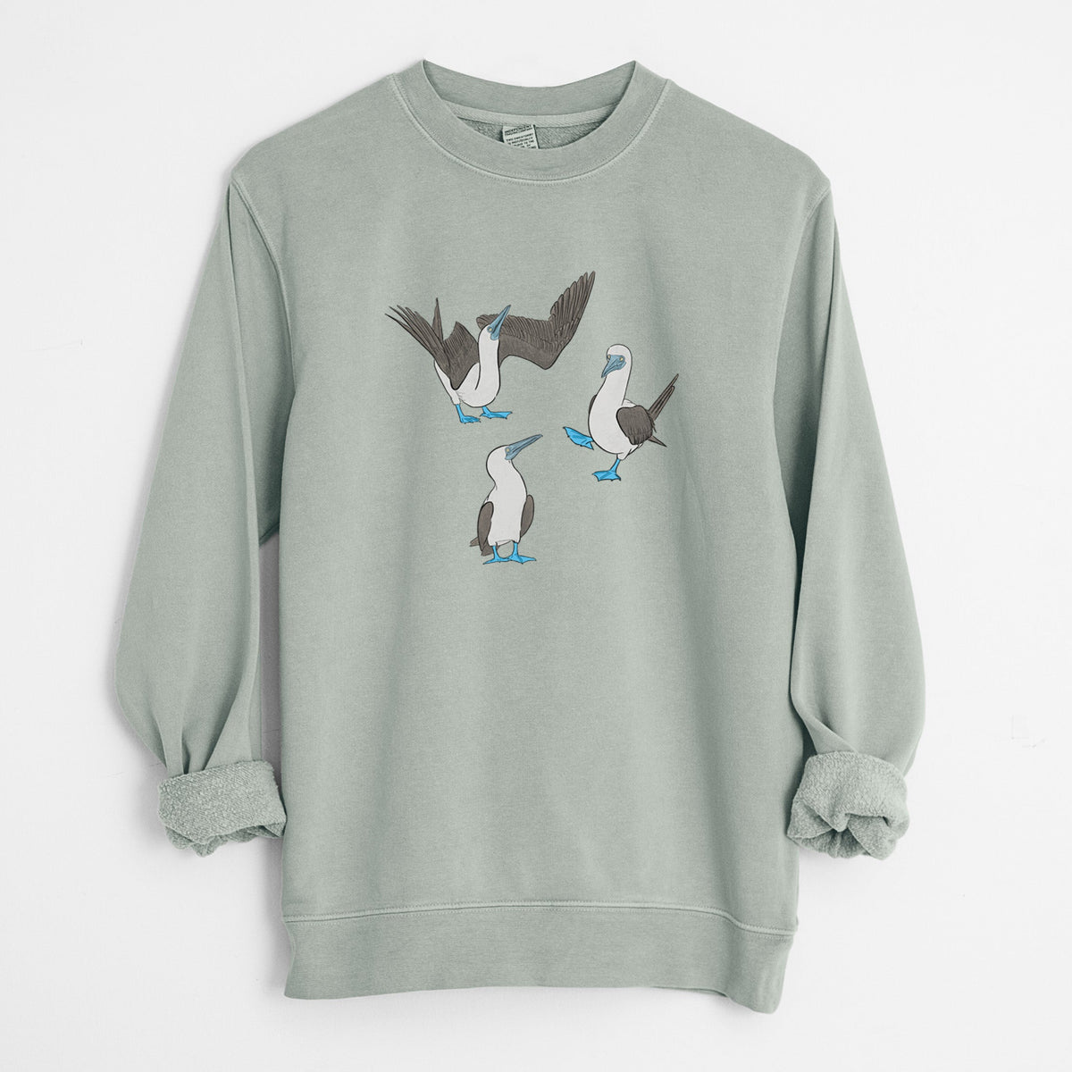 Blue-footed Booby Trio - Sula nebouxii - Unisex Pigment Dyed Crew Sweatshirt