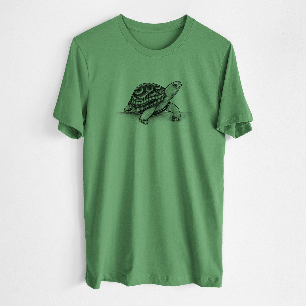 Common Box Turtle - Terrapene carolina - Lightweight 100% Cotton Unisex Crewneck