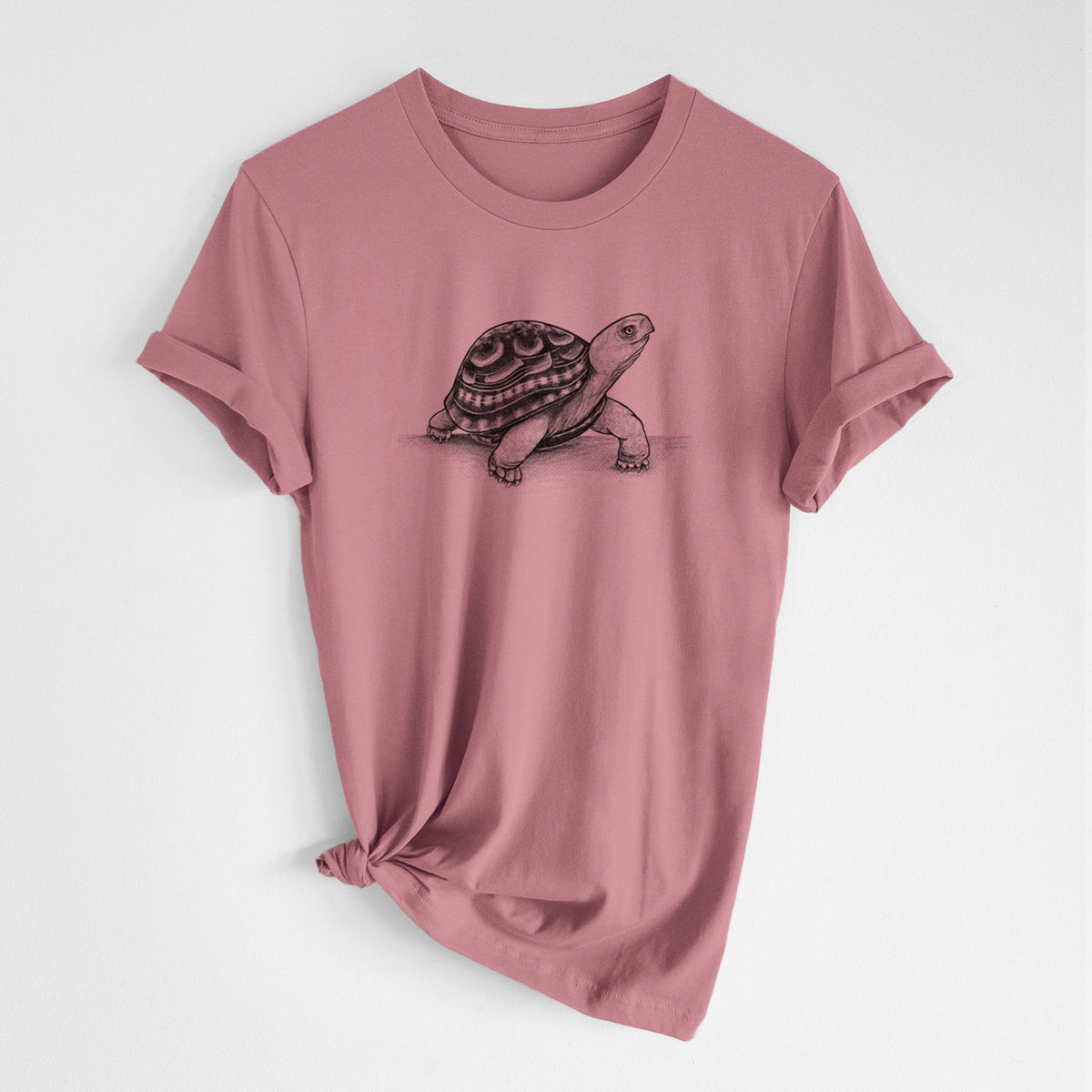 Common Box Turtle - Terrapene carolina - Lightweight 100% Cotton Unisex Crewneck