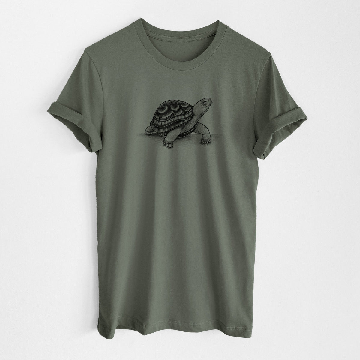 Common Box Turtle - Terrapene carolina - Lightweight 100% Cotton Unisex Crewneck