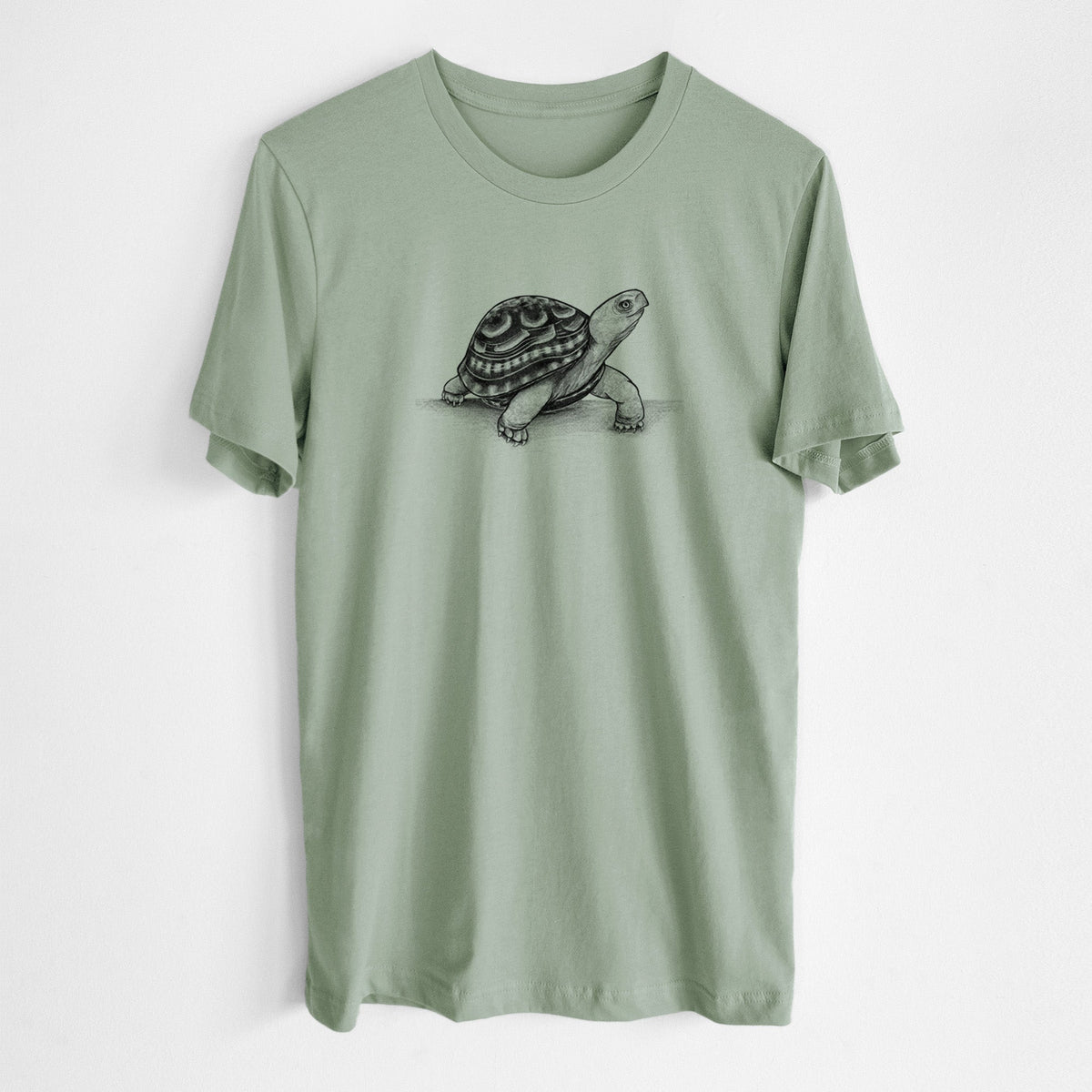 Common Box Turtle - Terrapene carolina - Lightweight 100% Cotton Unisex Crewneck