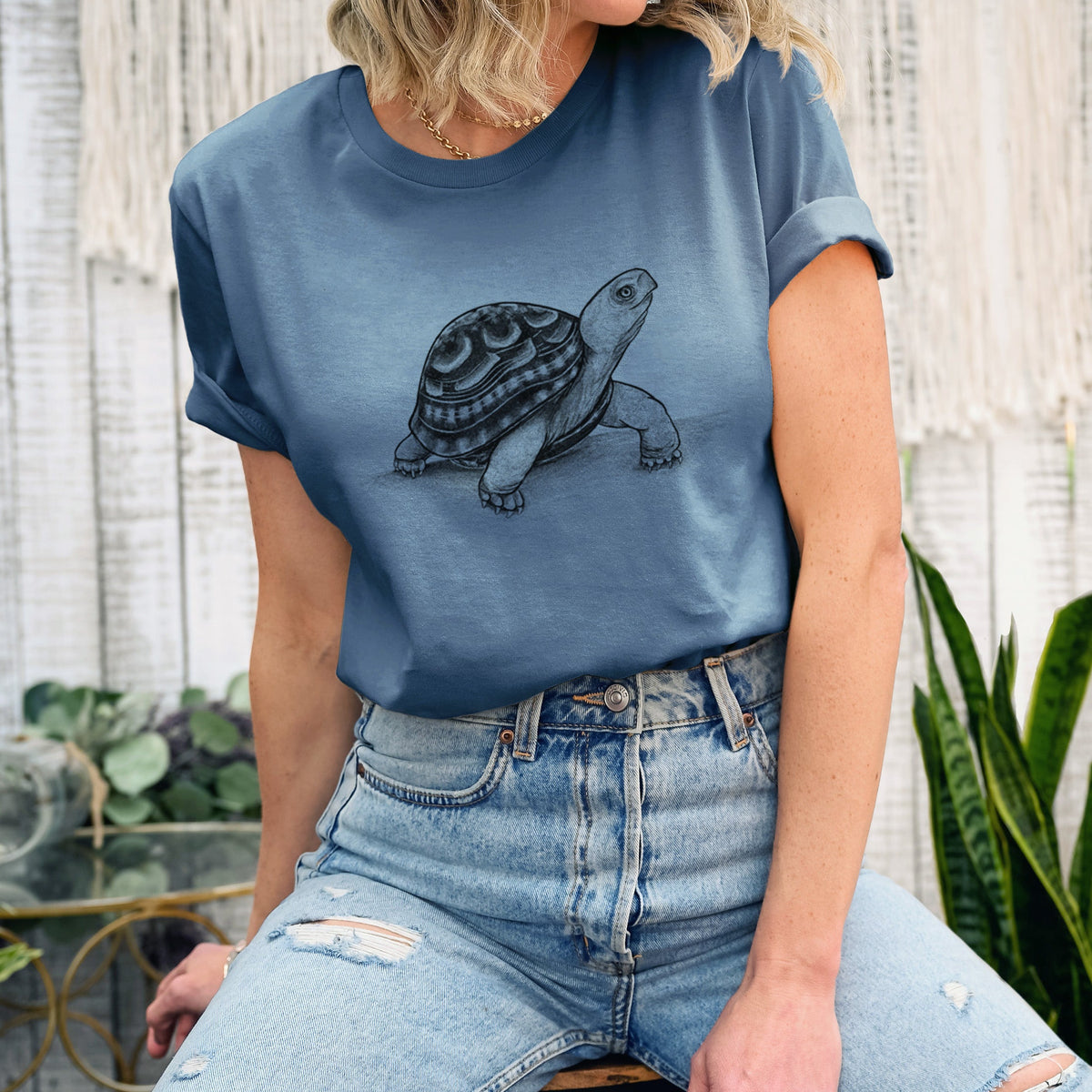 Common Box Turtle - Terrapene carolina - Lightweight 100% Cotton Unisex Crewneck