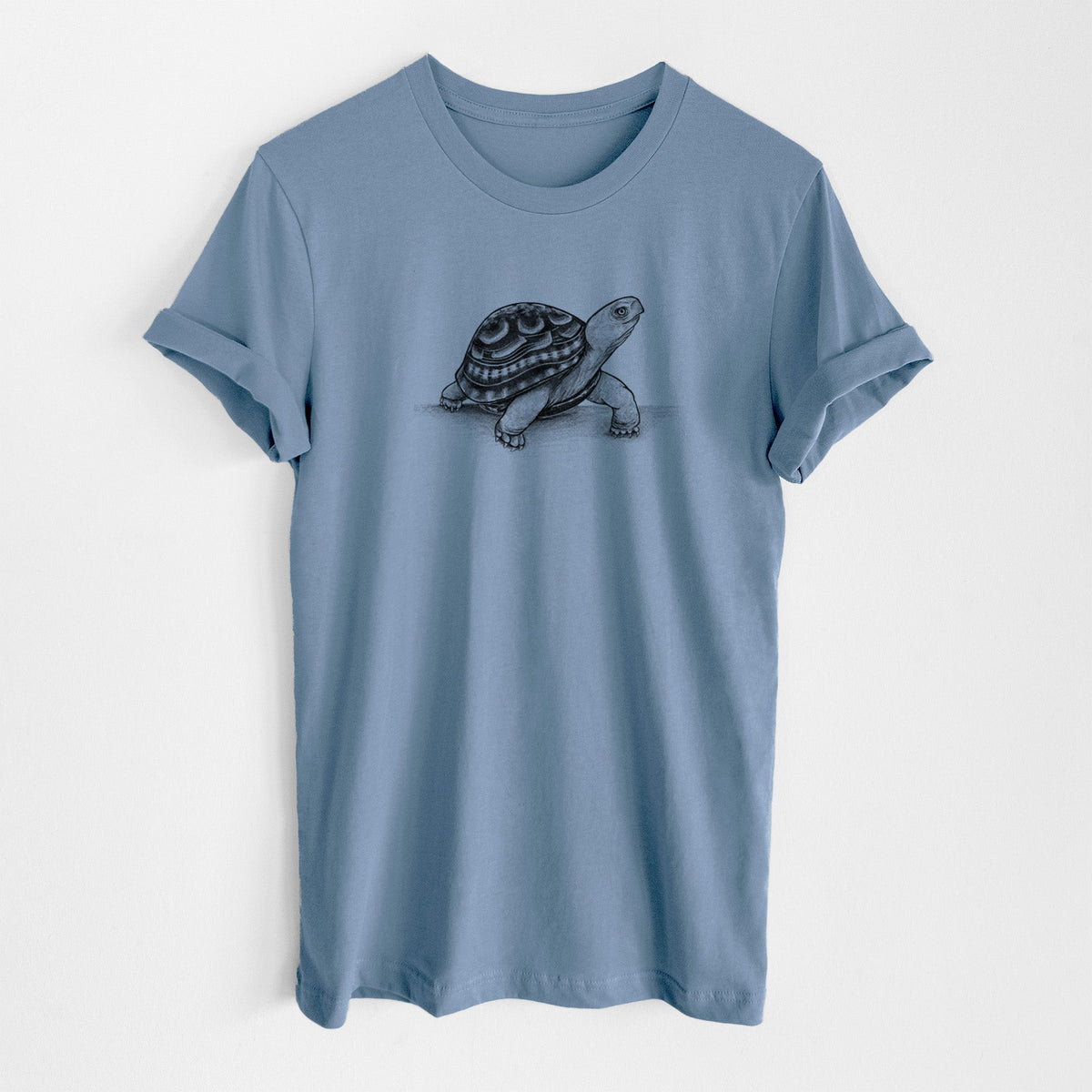 Common Box Turtle - Terrapene carolina - Lightweight 100% Cotton Unisex Crewneck