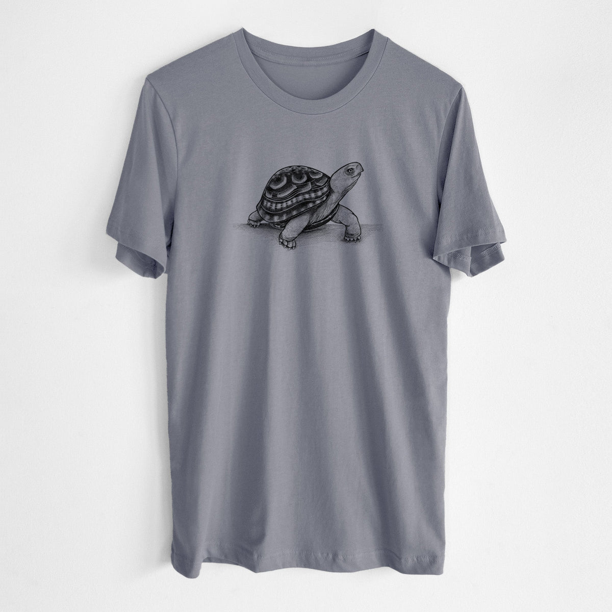Common Box Turtle - Terrapene carolina - Lightweight 100% Cotton Unisex Crewneck