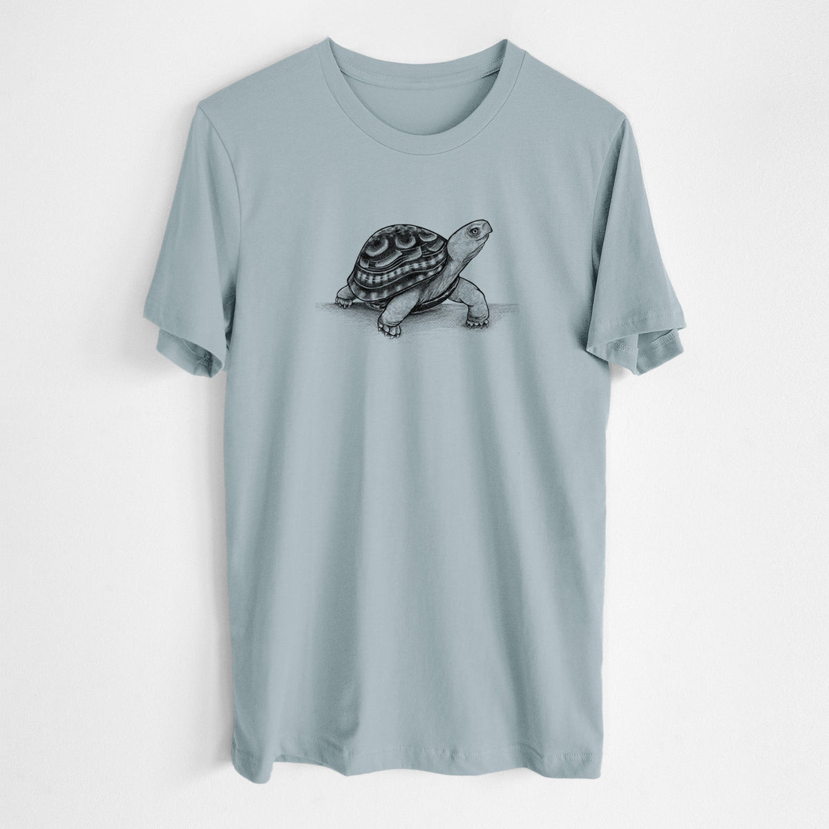 Common Box Turtle - Terrapene carolina - Lightweight 100% Cotton Unisex Crewneck