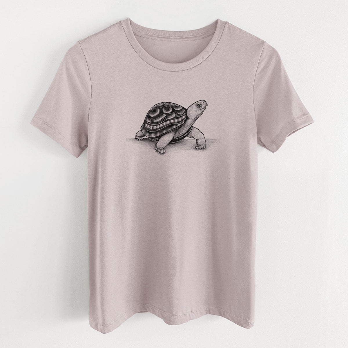 Common Box Turtle - Terrapene carolina - Women's Lightweight Relaxed Fit 100% Cotton Crewneck