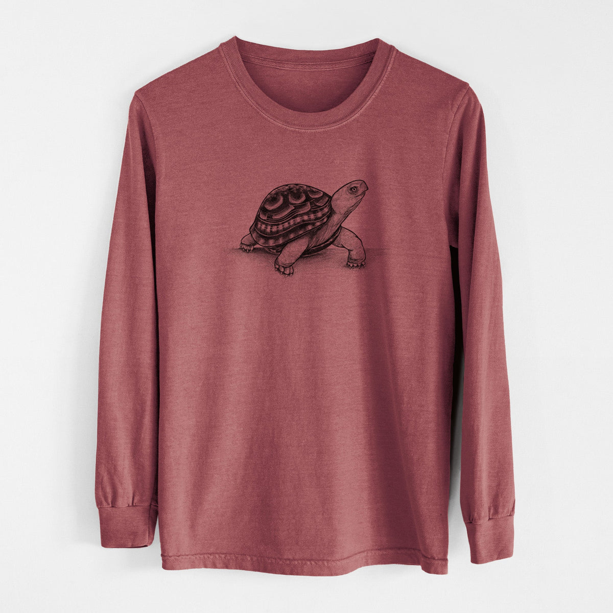 Common Box Turtle - Terrapene carolina - Unisex Comfort Colors 100% Cotton Long Sleeve