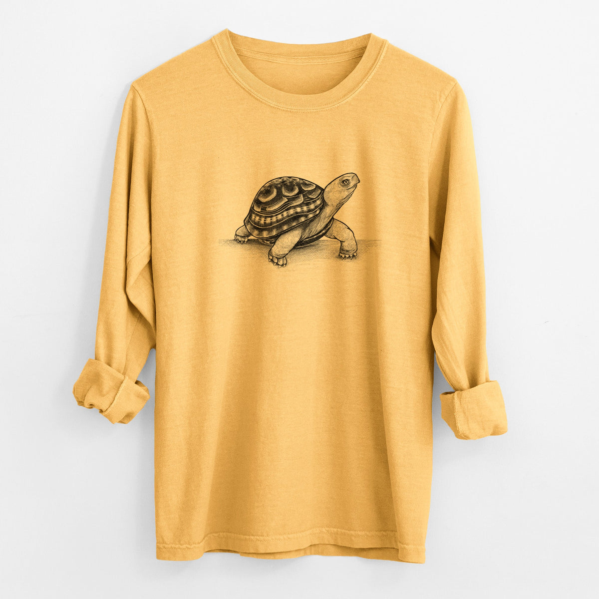 Common Box Turtle - Terrapene carolina - Unisex Comfort Colors 100% Cotton Long Sleeve