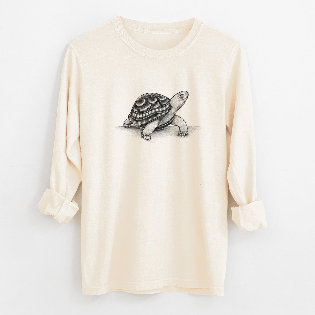 Common Box Turtle - Terrapene carolina - Unisex Comfort Colors 100% Cotton Long Sleeve