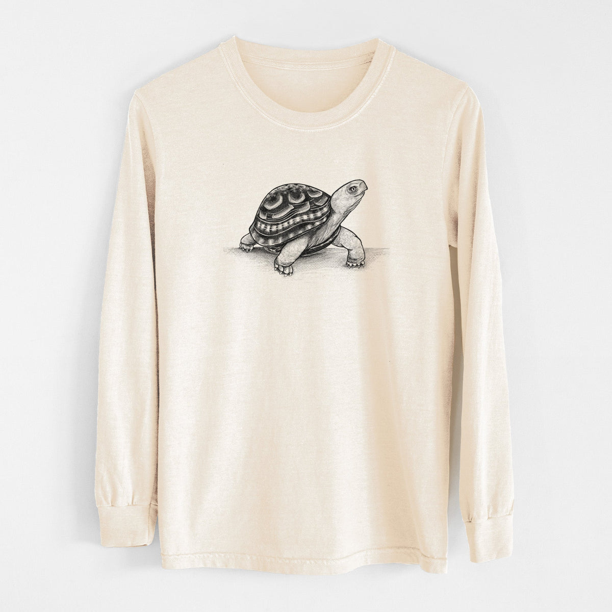 Common Box Turtle - Terrapene carolina - Unisex Comfort Colors 100% Cotton Long Sleeve