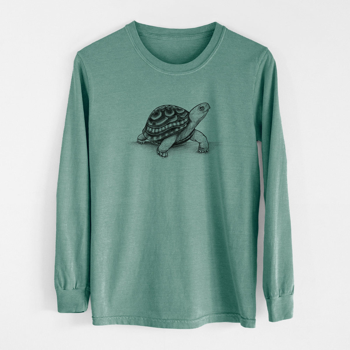 Common Box Turtle - Terrapene carolina - Unisex Comfort Colors 100% Cotton Long Sleeve