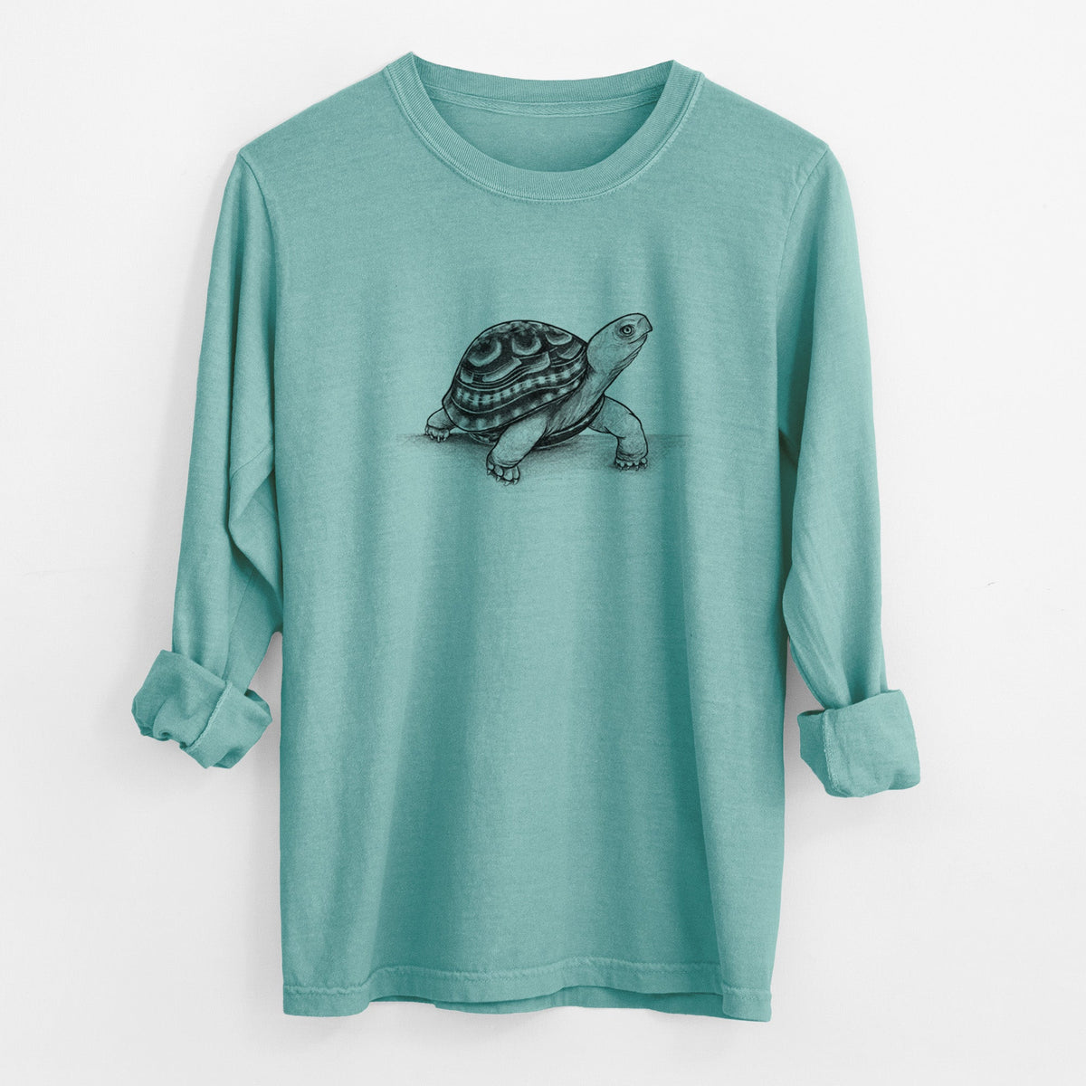Common Box Turtle - Terrapene carolina - Unisex Comfort Colors 100% Cotton Long Sleeve
