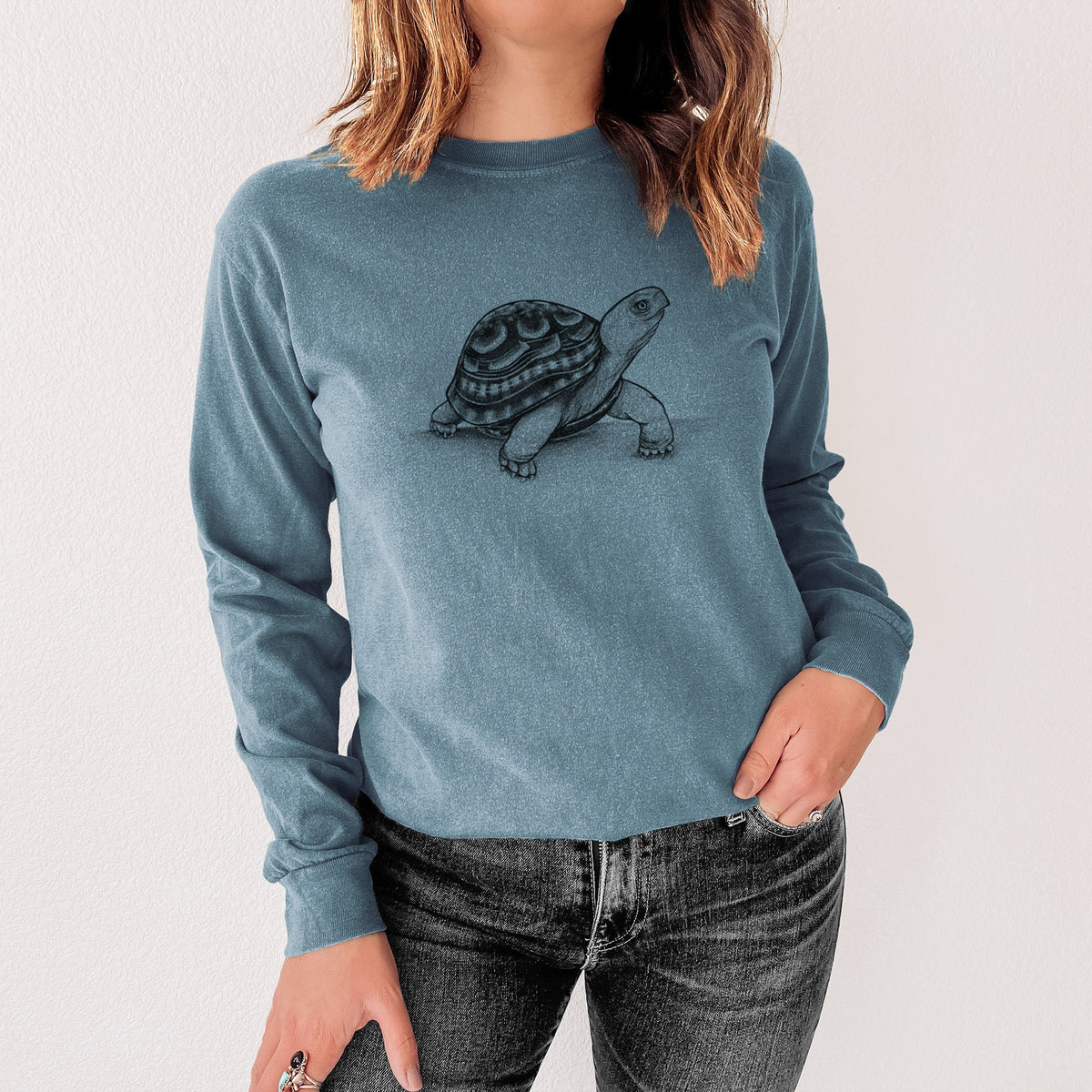 Common Box Turtle - Terrapene carolina - Unisex Comfort Colors 100% Cotton Long Sleeve