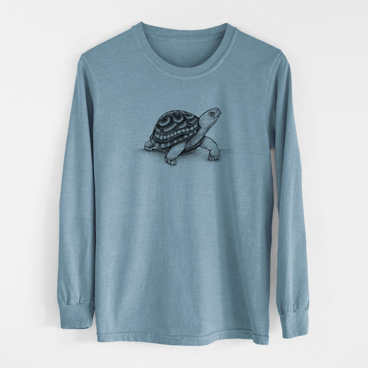 Common Box Turtle - Terrapene carolina - Unisex Comfort Colors 100% Cotton Long Sleeve