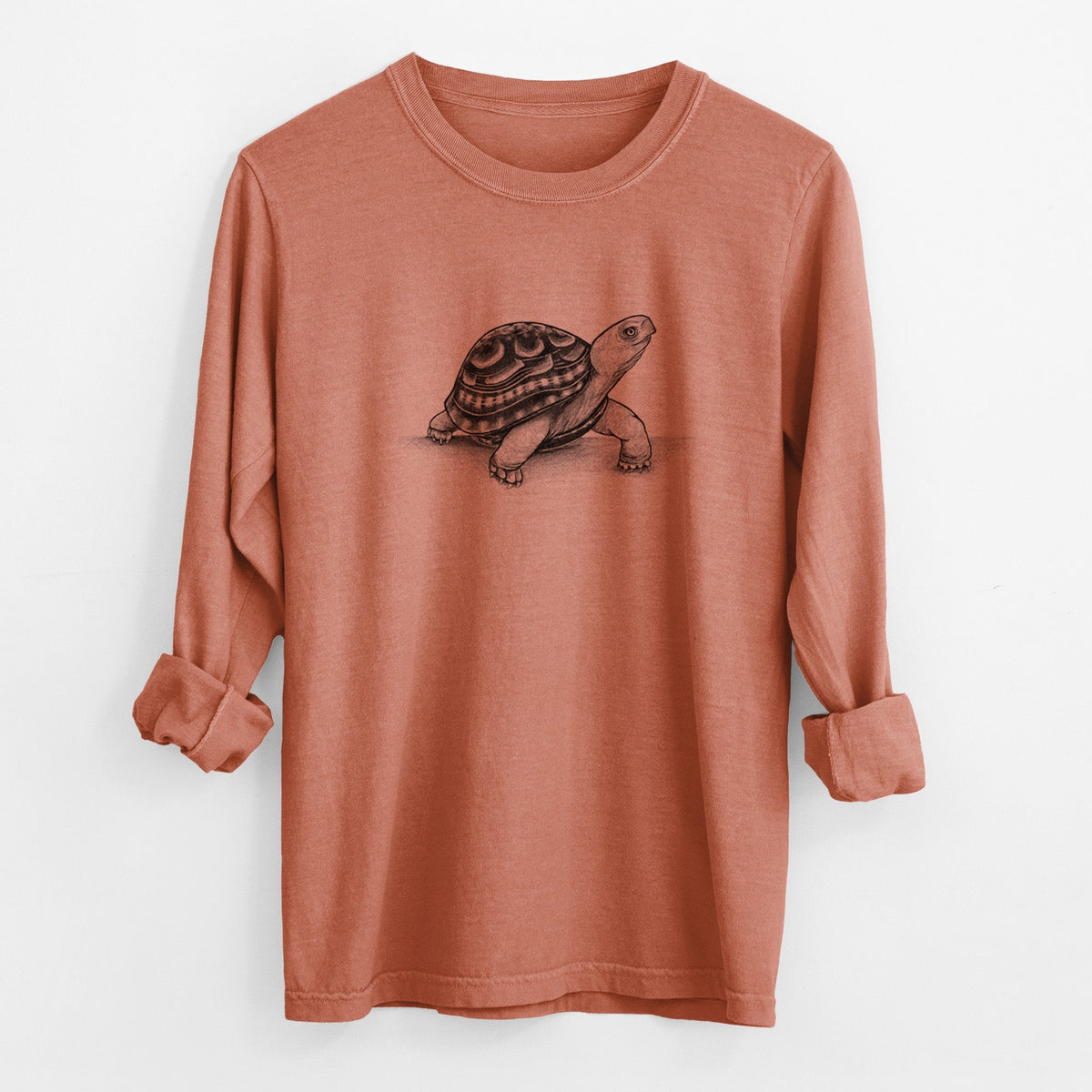Common Box Turtle - Terrapene carolina - Unisex Comfort Colors 100% Cotton Long Sleeve