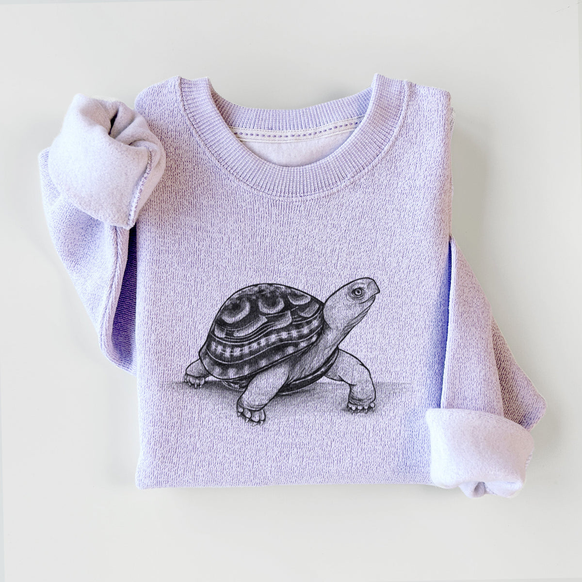 Common Box Turtle - Terrapene carolina - Knit Sweatshirt