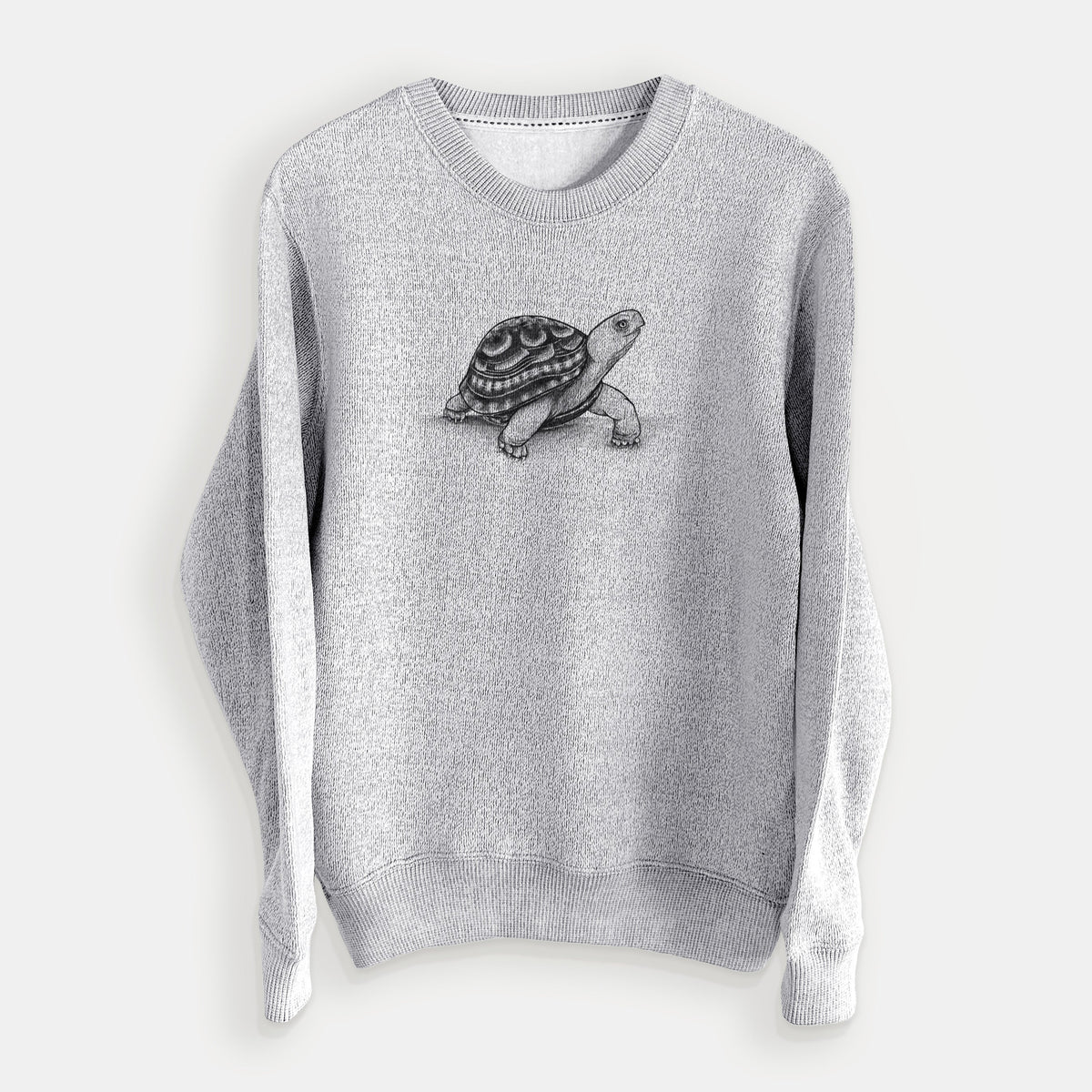 Common Box Turtle - Terrapene carolina - Knit Sweatshirt