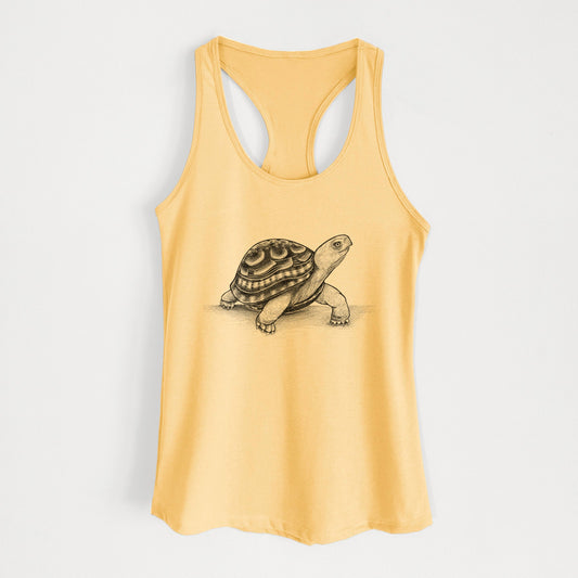 Common Box Turtle - Terrapene carolina - Women's Racerback Tanktop