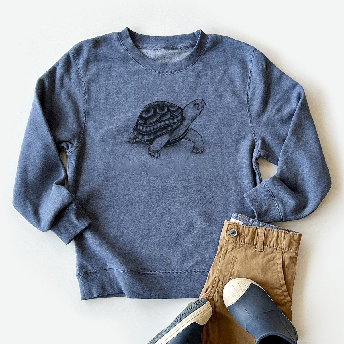 Common Box Turtle - Terrapene carolina - Youth Lightweight Crewneck Sweatshirt