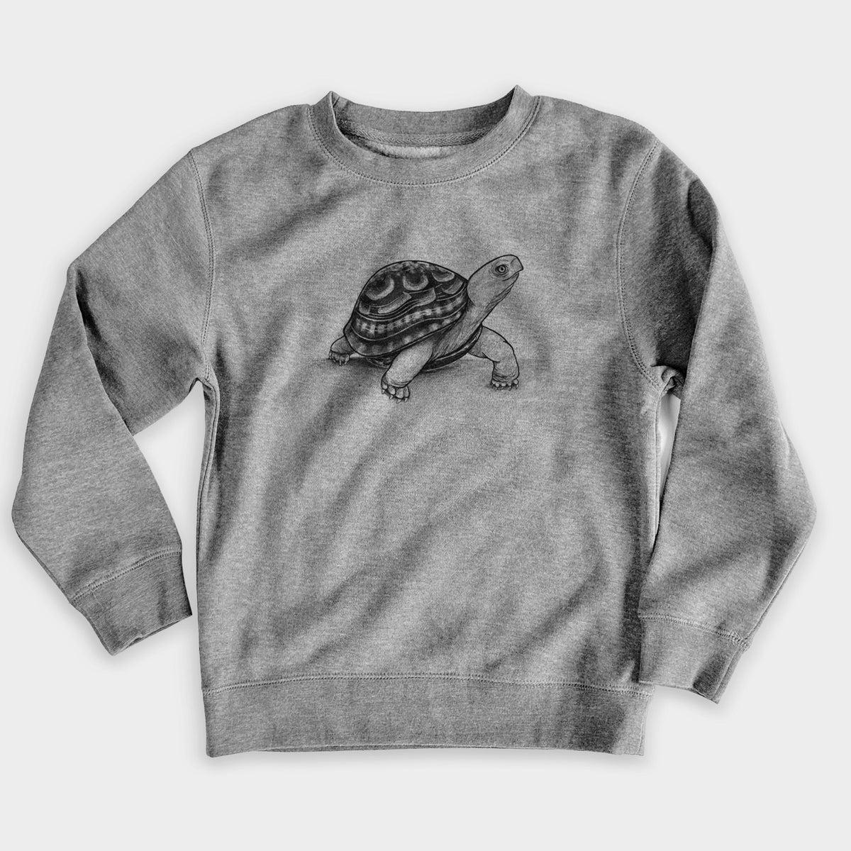 Common Box Turtle - Terrapene carolina - Youth Lightweight Crewneck Sweatshirt