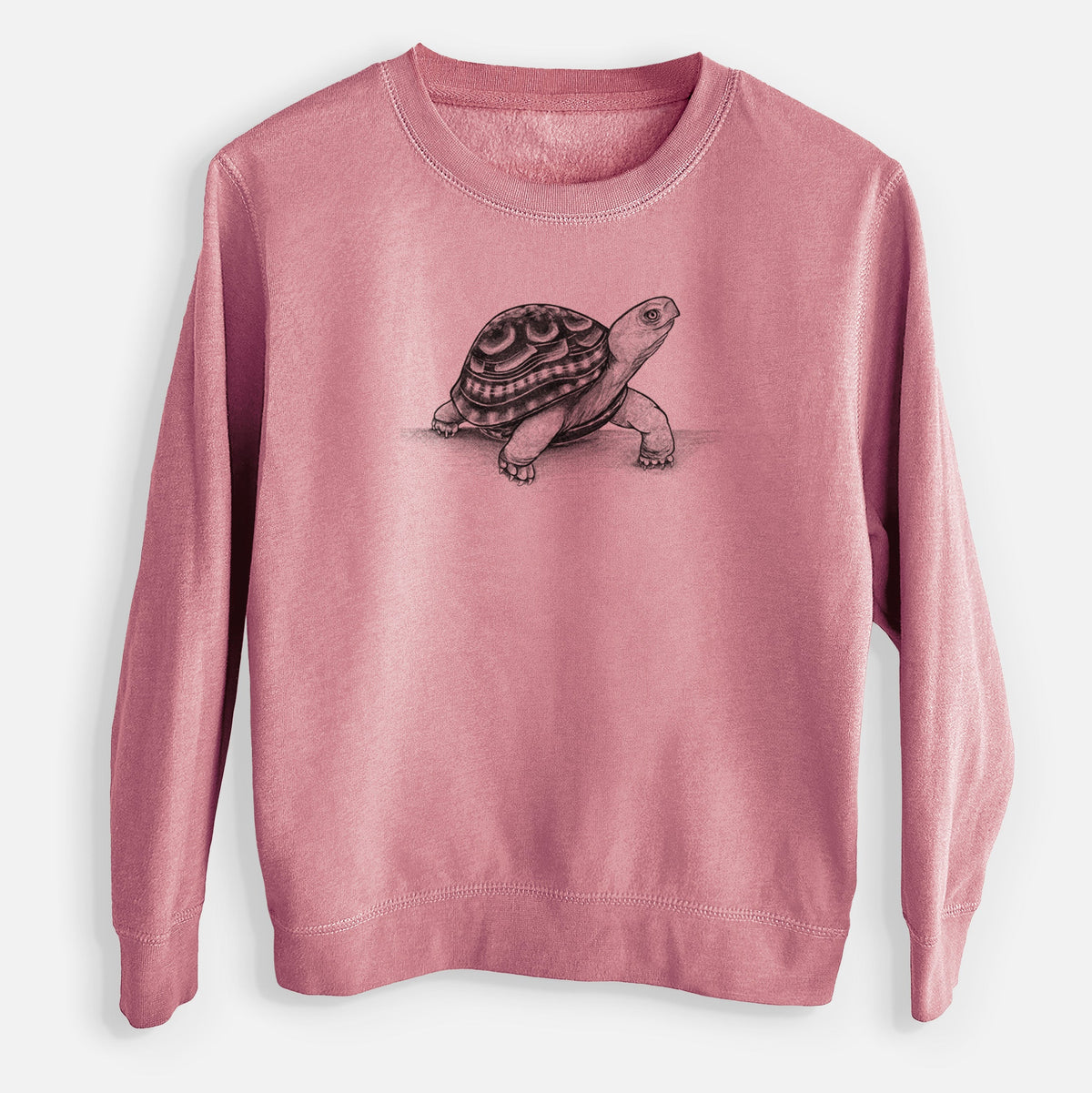 Common Box Turtle - Terrapene carolina - Youth Lightweight Crewneck Sweatshirt