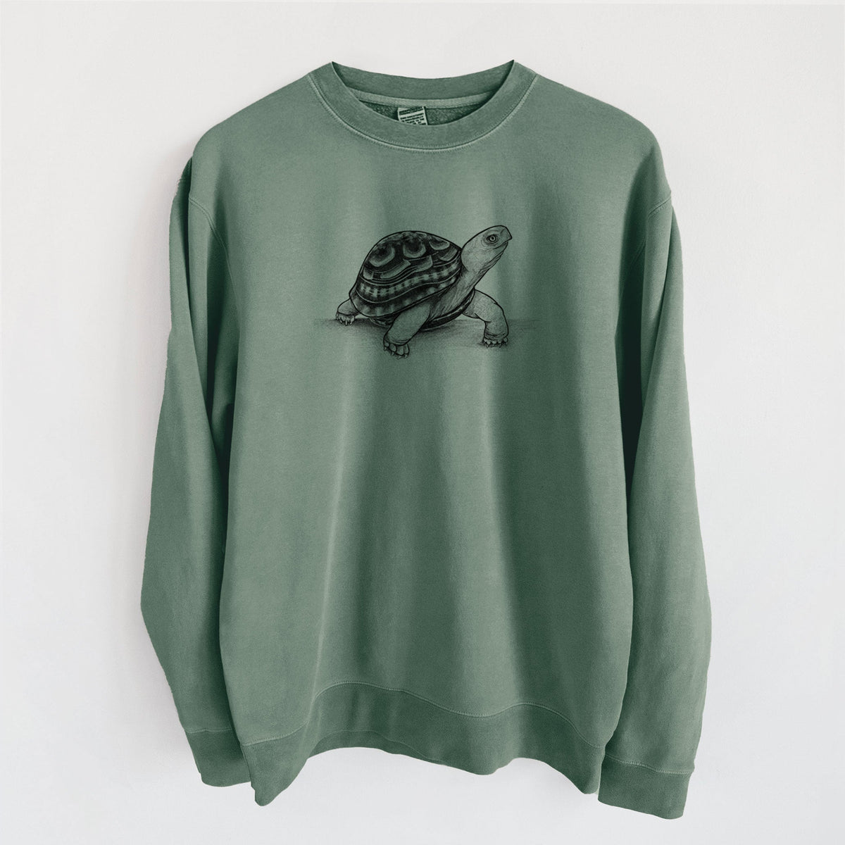 Common Box Turtle - Terrapene carolina - Unisex Pigment Dyed Crew Sweatshirt
