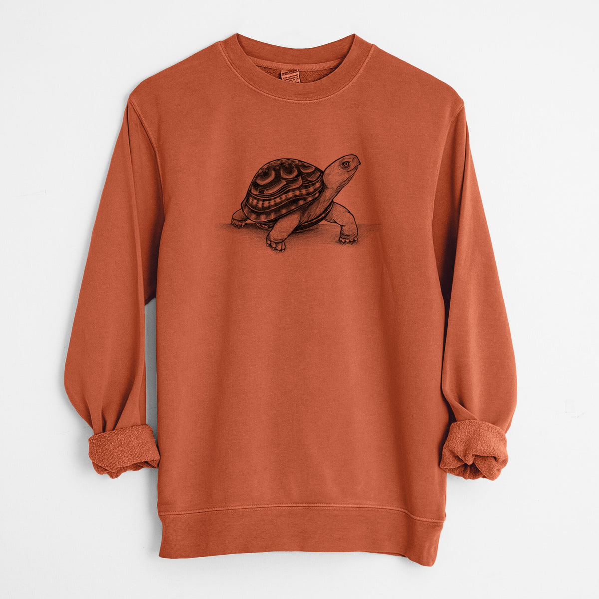 Common Box Turtle - Terrapene carolina - Unisex Pigment Dyed Crew Sweatshirt