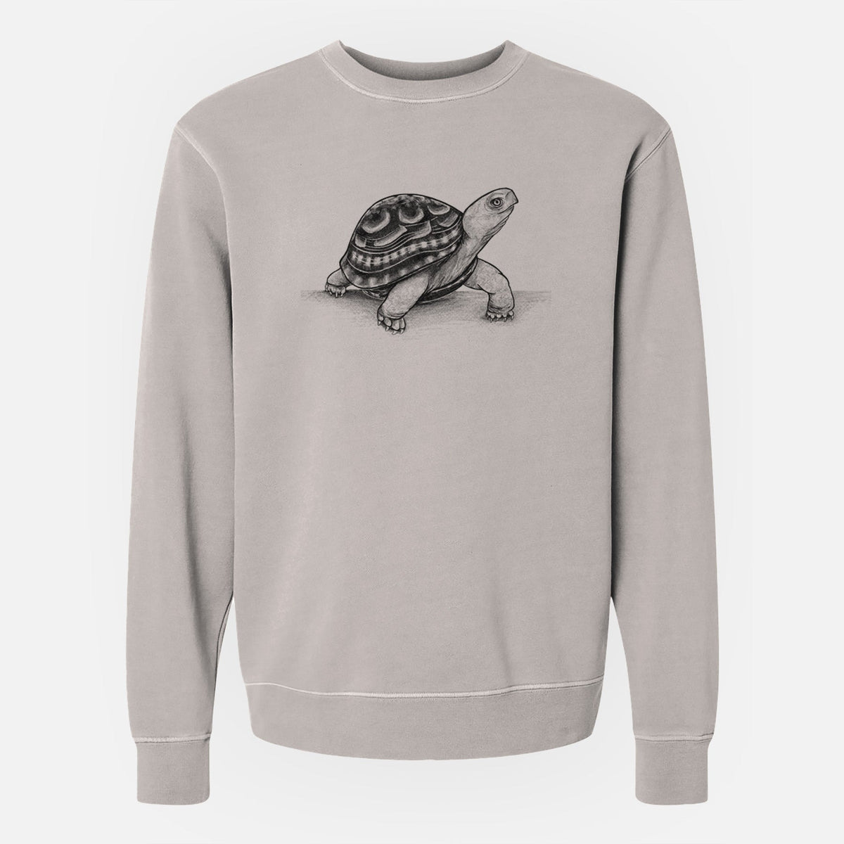Common Box Turtle - Terrapene carolina - Unisex Pigment Dyed Crew Sweatshirt